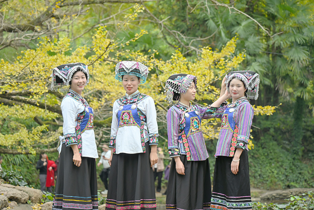 贵州盘州:邂逅千年银杏共赴金色之约